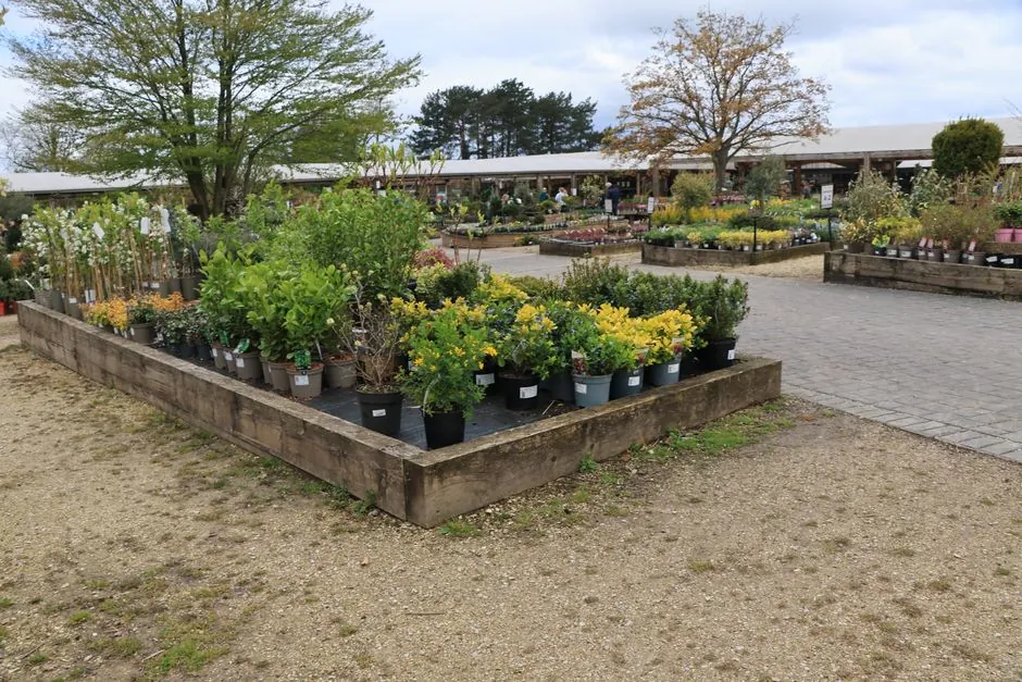 Travail de jardinage propre